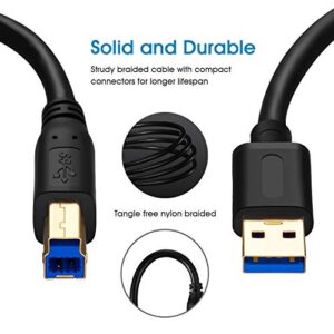 Jelly Tang USB 3.0 Cable A Male to B Male 10Ft,Superspeed USB 3.0 A-B/A Male to B Male Cable - for Scanner, Printers, Desktop External Hard Drivers and More(10Ft/3M)