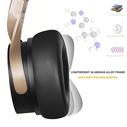 Riwbox BN5 Bluetooth Headphones Over Ear, Folding Stereo Headphones Wired Wireless with Mic Compatible for iPhone/iPad/TV/PC/Online Class/Home Office (Black&Gold)