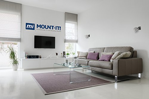 Mount-It! Speaker Mount for Wall and Ceiling, Low Profile Heavy Duty, Anti-Theft, Universal for Channel Surround Sound and Satellite Speakers, Black, 2 Mounts
