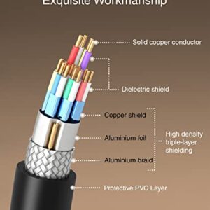 BlueRigger 8K DisplayPort Cable 1.4 (10FT, 32.4Gbps, HDR10+, DP to DP, 8K@60Hz, 4K@144Hz, 2K@165Hz, 1080p@240Hz) Display Port 144Hz per VESA Specifications for Laptop PC Graphics Card, Gaming Monitor