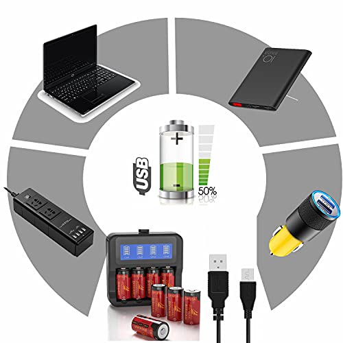 Arlo Batteries Rechargeable 123A, FARSAIL 12-Pack 800mAH ICR17335 NiMH Batteries and LCD Display CR123A Charger for Arlo VMC3030 VMK3200 VMS3130 3230C 3430 3530 Cameras, August Pro WiFi, Flashlight