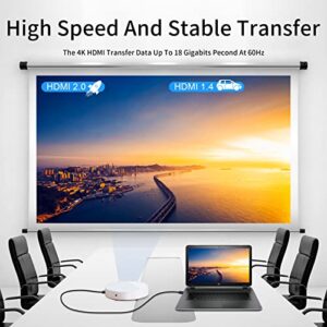 Twozoh Flexible & Slim HDMI Cable 1FT, Soft & Ultra-Thin HDMI to HDMI Cord Support 4K@60Hz/2160P/1080P