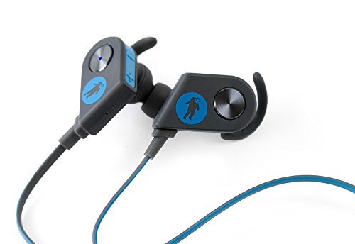 FRESHeBUDS Pro - Wireless Bluetooth Earbuds (Blue/Grey)