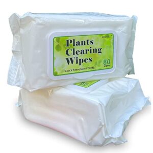 aushucu plants cleaning wipes weave unscented wipes，clean and photosynthesis leaf cleaner for house plants outdoor plants(2 pack/160 wipes)