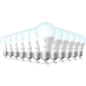 sengled alexa light bulb, bluetooth mesh smart light bulbs that work with alexa only, standard a19 e26 dimmable led bulb daylight 5000k, 60w equivalent 800lm, high cri>90, cec title 20, 12 pack
