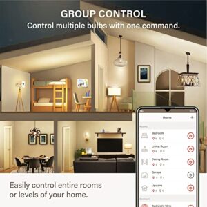 Sengled Zigbee Smart Bulb, Smart Hub Required, Work with SmartThings and Echo with built-in Hub, Voice Control with Alexa and Google Home, Amber Warm 2000K Smart Edison Bulbs, 60W Equivalent 1 Pack