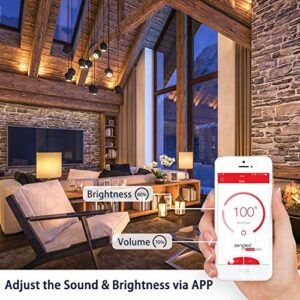 Sengled Solo Bluetooth JBL Speaker Light Bulb Dual Channel Dimmable LED Light Bulb App Controlled 45W Equivalent E26 Smart Timing Music Bulb, Compatible with Alexa via Bluetooth Connection