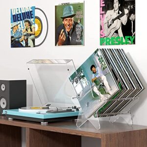 Vinyl Record Storage Stand, Acrylic Vinyl Record Storage Holder, Clear CD Organizer Holder for Single and Gatefold Albums