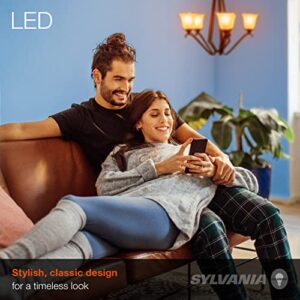 LEDVANCE 79580 1 LED Bulb, Medium Base, Amber