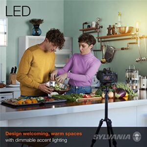 Sylvania LED Vintage Filament ST19 Light Bulb, 40W = 4.5W, 380 Lumens, Dimmable, Amber Glow - 4 Pack (40328)