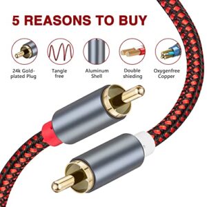 GESSEOR RCA Cable 20 ft 2RCA to 2RCA Cable 2Rca Male to 2-RCA Male Audio Stereo Subwoofer Cable Nylon-Braided Auxiliary Audio Cord for Home Theater, HDTV, Amplifiers, Hi-Fi