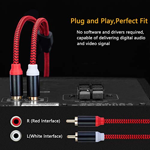 RCA Cable 30Ft,2Rca Male to 2-Rca Male Audio Stereo Subwoofer Cable [Hi-Fi Sound] Nylon-Braided Auxiliary Audio Cord for Home Theater, HDTV, Amplifiers, Hi-Fi Systems,Speakers and etc(30Ft/10M)