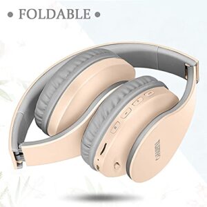 TUINYO Wireless Headphones Over Ear, Bluetooth Headphones with Microphone, Foldable Stereo Wireless Headset-Rose Gold/Apricot