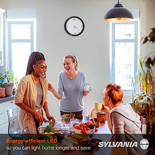 LEDVANCE Sylvania Vintage Filament LED Light Bulb, 60W = 6.5W, Dimmable, 13 Year, Amber Finish, 650 Lumens, 2175K, Amber Glow - 4 Pack (40063)