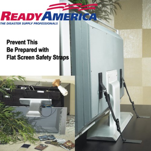Ready America 4521 Universal Flat Screen Safety Straps , Black