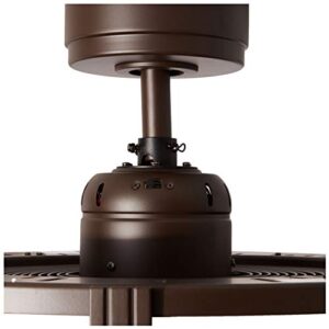 Fanimation FP7964BOB Beckwith Ceiling Fan with Light Kit, 23 inch, Oil Rubbed Bronze