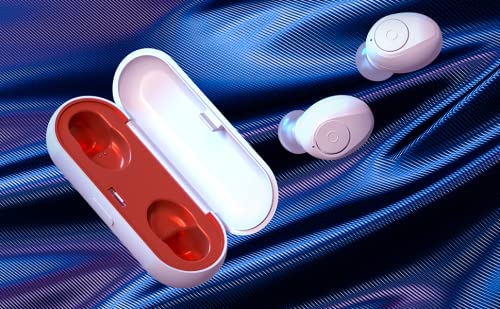 Bluetooth 5.0 Wireless Earbuds Super Portable True Wireless Stereo Headphones in Ear Deep Bass Built in Mic IPX6 Waterproof with Charging Case (Only 50g) 40H Playtime for Workout Running (White)