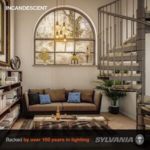 LEDVANCE Sylvania 16144 DOUBLELife G25 Light Bulb 2850K 24, Warm White