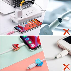 Flutesan 40 Pieces Phone Protect Accessory Charging Cable Protectors Cute Charger Protectors Cord Protector Cord Saver USB Charger for Cellphone Data Lines, Various Styles