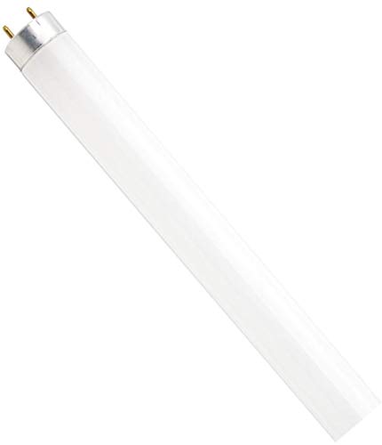 LEDVANCE 21777 Sylvania Fluorescent 48" 32W T8 Lamp, 3000K Neutral White, 1 Pack Rapid & Instant Start, Coated