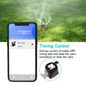 Smart Water Valve, Automatic Water Shut Off Valve Timer and Voice, Wifi Motorized Ball Valve Watering Timer, Sprinkler Controller , Compatible with Alexa Google, APP Remote Control