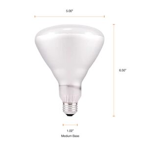 SYLVANIA Incandescent 65W BR40 Flood Light Bulb, 540 Lumens, 130 Volt, E26 Medium Base, 2850K, Warm White - 6 Pack (15679)
