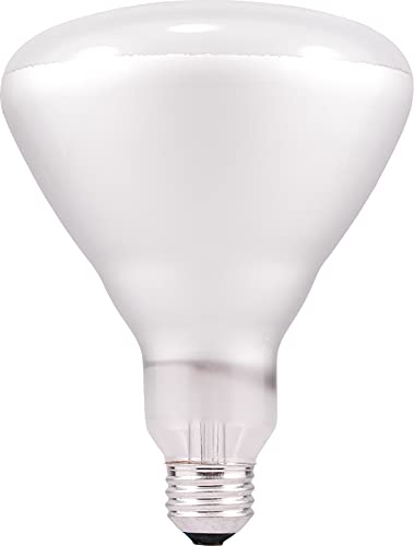 SYLVANIA Incandescent 65W BR40 Flood Light Bulb, 540 Lumens, 130 Volt, E26 Medium Base, 2850K, Warm White - 6 Pack (15679)