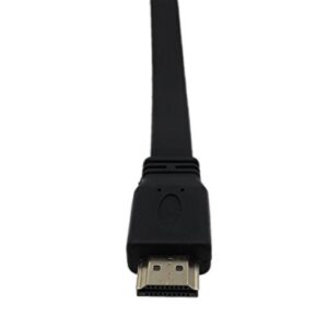 CERRXIAN 1FT Flat Slim High Speed Bi-Directional DVI (24+1) Male to HDMI Male Adapter Cable