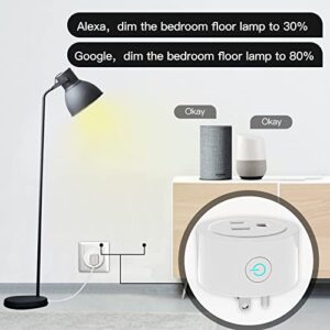 MoesGo Smart WiFi Power Dimmer Plug, Brightness Adjust Timer Socket, Tuya Smart Life App Remote Control, Compatible with Alexa and Google Home White