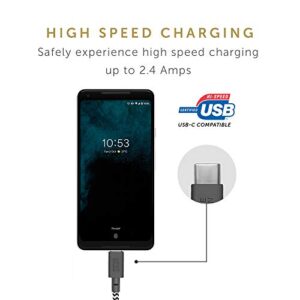 Native Union Belt Cable XL USB-C to USB-A - 10ft Ultra-Strong Charging Cable with Leather Strap Compatible with Samsung Galaxy Z Fold4, Flip4 / S22 Ultra, Pixel 7 Pro, iPad Pro, Air 5, Mini 6 (Zebra)