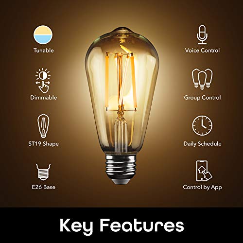 Geeni LUX Edison ST19 Edison WiFi LED Smart Bulb, 2700K - 6500K 8W, E26 Base, Dimmable, Tunable White Light, Compatible with Amazon Alexa & Google Home - No Hub Required- 2 Pack