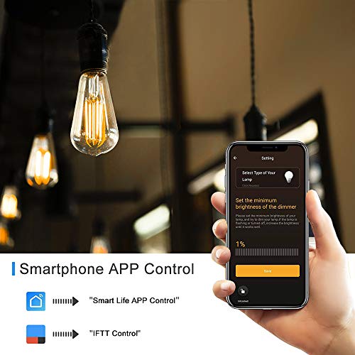 Smart Outdoor Dimmer, WiFi Plug-in Light Dimmer Switch for LED String Light, Wireless Remote Control Dimming-350W, Outdoor Plug Works with Alexa Google Home, IP44 Waterproof/Timer by Smartphone