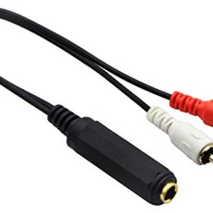 zdyCGTime 6.35mm to 2 RCA Y Splitter Cable, Gold-Plated 6.35mm (1/4 inch) TRS Female to 2 (Dual) RCA Male Stereo Audio Y Splitter Extension Adapter Cable (12Inch/30CM)