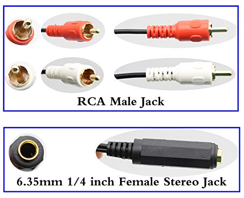 zdyCGTime 6.35mm to 2 RCA Y Splitter Cable, Gold-Plated 6.35mm (1/4 inch) TRS Female to 2 (Dual) RCA Male Stereo Audio Y Splitter Extension Adapter Cable (12Inch/30CM)