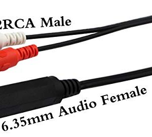 zdyCGTime 6.35mm to 2 RCA Y Splitter Cable, Gold-Plated 6.35mm (1/4 inch) TRS Female to 2 (Dual) RCA Male Stereo Audio Y Splitter Extension Adapter Cable (12Inch/30CM)