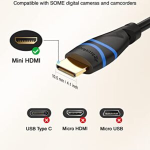 BlueRigger Mini HDMI to HDMI Cable (10FT, 4K 60Hz HDR, Bidirectional High Speed HDMI 2.0 Cord, Ethernet, Audio Return) Compatible with DSLR Camera, Camcorder, Graphics/Video Card, Raspberry Pi Zero W
