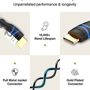 BlueRigger Mini HDMI to HDMI Cable (10FT, 4K 60Hz HDR, Bidirectional High Speed HDMI 2.0 Cord, Ethernet, Audio Return) Compatible with DSLR Camera, Camcorder, Graphics/Video Card, Raspberry Pi Zero W