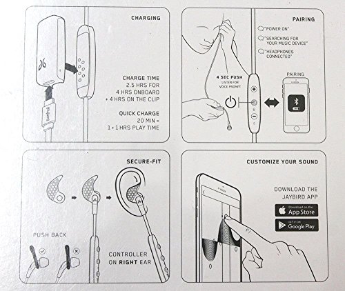 Freedom Wireless Sport Headphones-Carbon