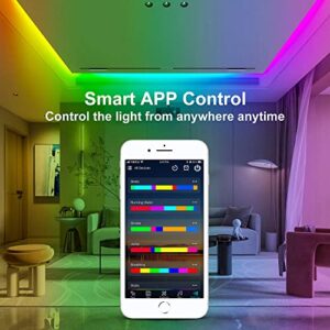 GIDERWEL Smart DreamColor Addressable RGB LED Strip Light 16.4ft Kit,Work with Alexa&Google Assistant,WiFi and Bluetooth APP/Voice/Music Sync Control 5050 Alexa LED Lights Ambiance Lighting