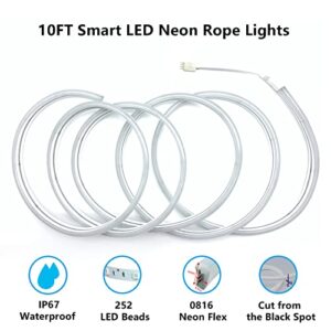 GLPE Neon Rope Lights,10FT 252 LEDs Smart Neon Lights,TuYa APP Control and Music Sync,RGBIC Backlights Works with Alexa and Google Assistant,DIY Creative Strip Lights for Gaming, Living Room,Bedroom