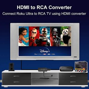 Dingsun RCA to HDMI Converter, Composite to HDMI Converter, AV to HDMI Adapter (HDMI to RCA Converter)