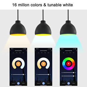 CRESTIN Smart WiFi Flood Light Bulbs, RGBCW BR30 LED Light Bulbs Color Changing, Works with Alexa & Google, 1000lm WiFi Light Bulbs, Dimmable Recessed Can Light Bulbs (11W Equivalent to 70W, 2 Pack)