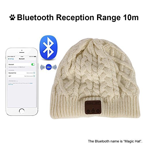 BearsFire Wireless Music Beanie Hat with Bluetooth Headphones Speaker Mic Winter Warm Skull Running Knit Cap for Men Women