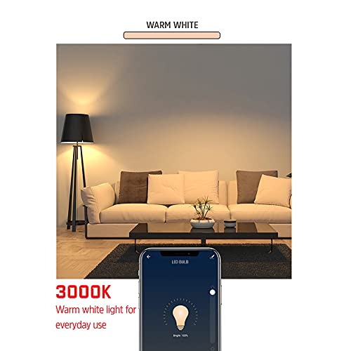 Energizer Connect Smart A19 LED Warm White Light Bulb with Voice Control and Remote Access Through Your Smartphone | Compatible with Alexa and Google Assistant, 4 Pack