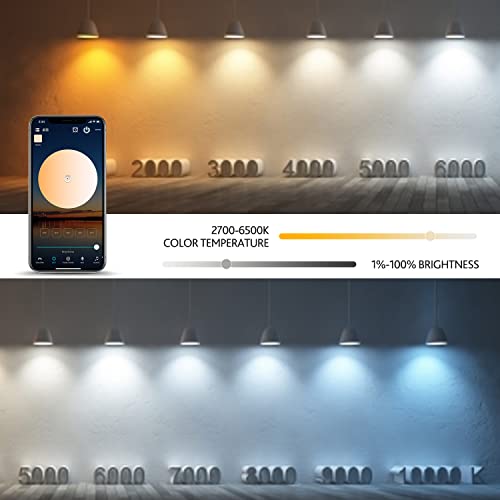 TFOI Smart Light Bulbs A19 E27 RGB Light Bulb WiFi Light Bulb Color Changing LED Lights or DIY Scene Setting Smart Bulb Compatible Alexa/Google Home Smart Light Bulb 80% Energy Saving（9w 2pack）