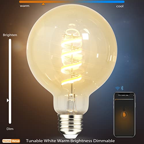 HVS Smart Edison Bulbs, G95 Globe E26 6W Dimmable Tunable Warm White 2100-5000K Farmhouse Vintage Décor Amber Glass 2.4GHz Wi-Fi APP Control Dawn to Dusk Work with Alexa Google Assistant 2 Pack