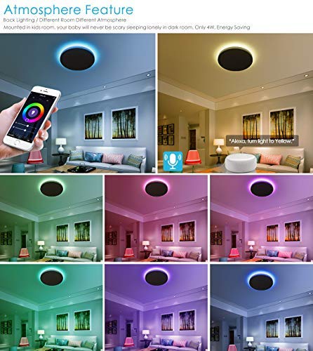 TALOYA Smart Ceiling Light Flush Mount LED WiFi, Compatible with Alexa Google Home, Dimmable Low Profile Ambient Light Fixture for Bedroom Living Room,12 Inch 24W