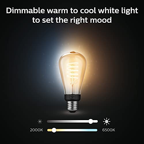 Philips Hue White Ambiance Dimmable Smart Filament ST19, Warm-White to Cool-White LED Vintage Edison Bulb, Bluetooth & Hub Compatible (Hue Hub Optional), Voice Activated with Alexa