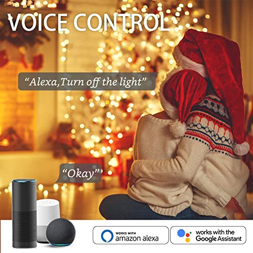 AvatarControls 32.8ft Smart Fairy Lights Works w/ Alexa Google, Color Changing LED Lights With Remote&APP, Music Sync Fairy Lights with 20 Flash Modes, Dreamcolor Plug In USB String Lights with Timer