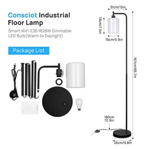 Consciot Industrial Floor Lamp, with White Jade Glass Shade, Smart WiFi E26 RGBW Dimmable LED Bulb(Warm to Daylight), Foot Switch/APP Control, Metal Standing Lamp for Living Room Bedroom Home Office